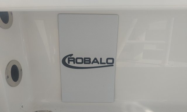 A R246 Cayman Bay Boat is a Power and could be classed as a Bay Boat, Center Console, Freshwater Fishing, Saltwater Fishing, Runabout,  or, just an overall Great Boat!