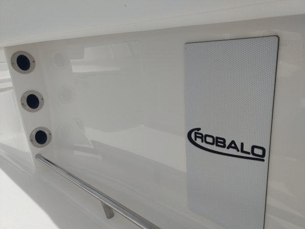 A R250 Center Console is a Power and could be classed as a Center Console, Saltwater Fishing,  or, just an overall Great Boat!
