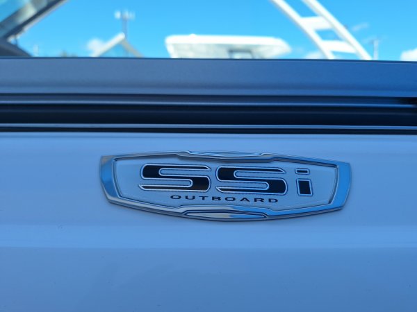 A 21 SSI Outboard Bowrider is a Power and could be classed as a Bowrider,  or, just an overall Great Boat!